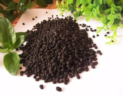 這些施肥雷區(qū)一定要注意 避開(kāi)這15個(gè)誤區(qū)