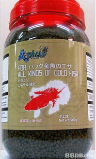 2019年香港飼料價格與商戶聯絡資訊指南